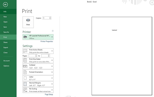 MS Excel Print