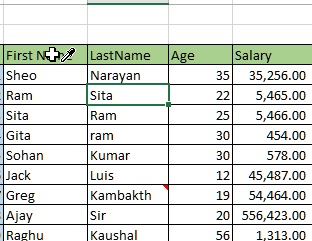 choose format mouse cursor in excel