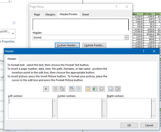Custom header and footer in ms excel