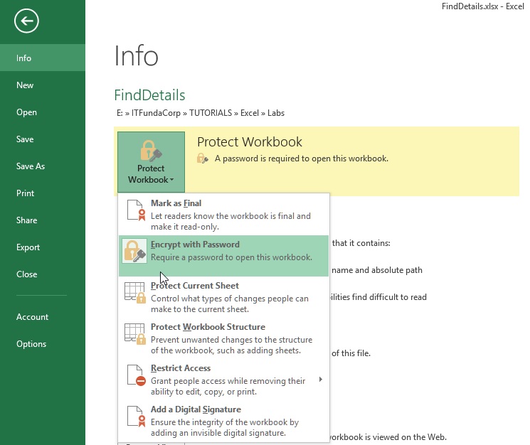 Protect workbook from File menu in Excel