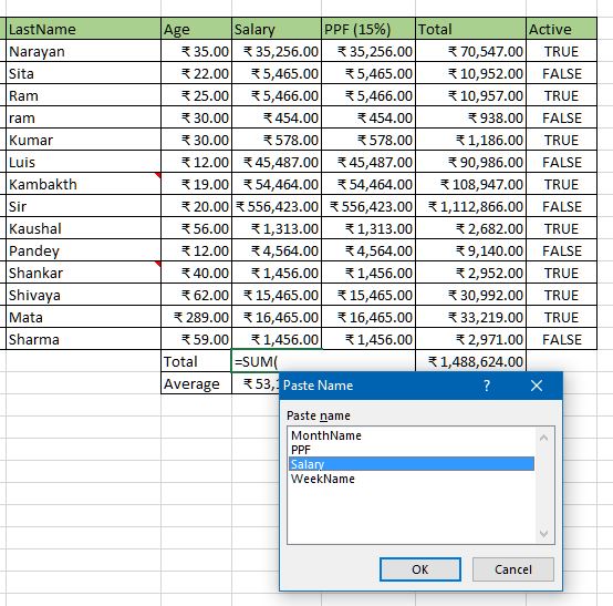Apply custom name in excel
